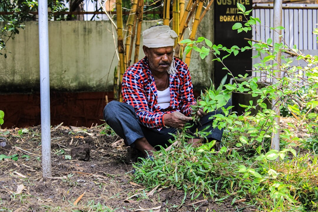 elderly man gardening
